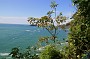 P_2007-12-20 13-22-59_1221